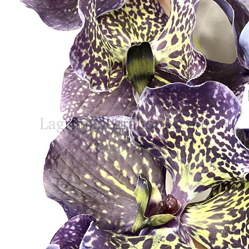 Orquídea Vanda Artificial - Lágrima Negra Home - Flor artificial de calidad