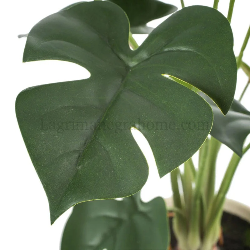 Detalle Hojas Planta Monstera Artificial