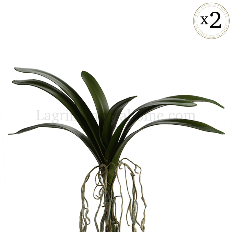 Brote Orquídea Vanda artificial