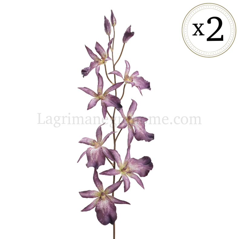Orquídea odontocidium biflora morada artificial