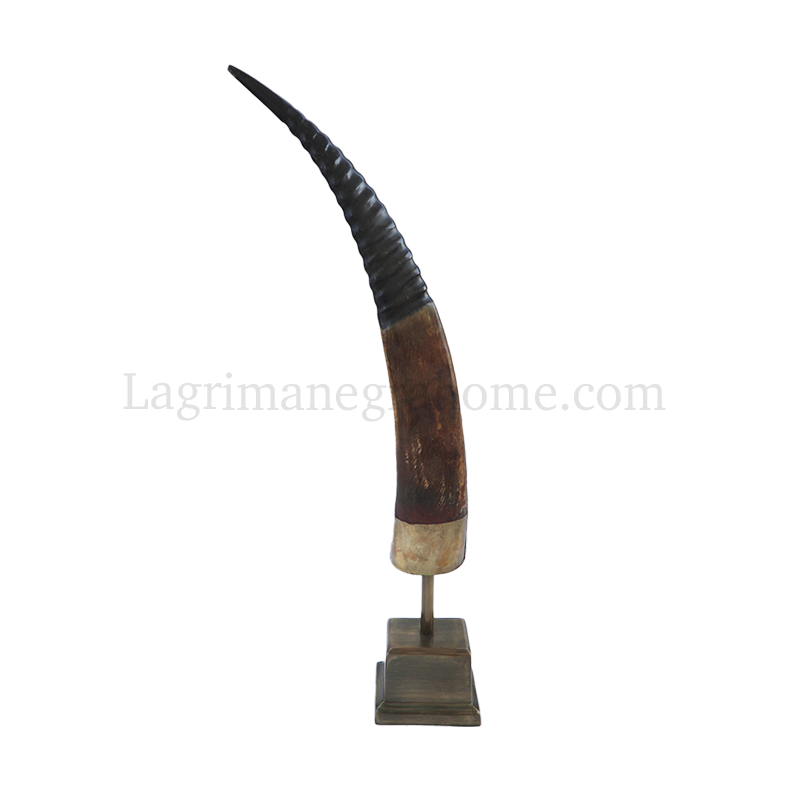 Escultura cuerno Antilope 60cm